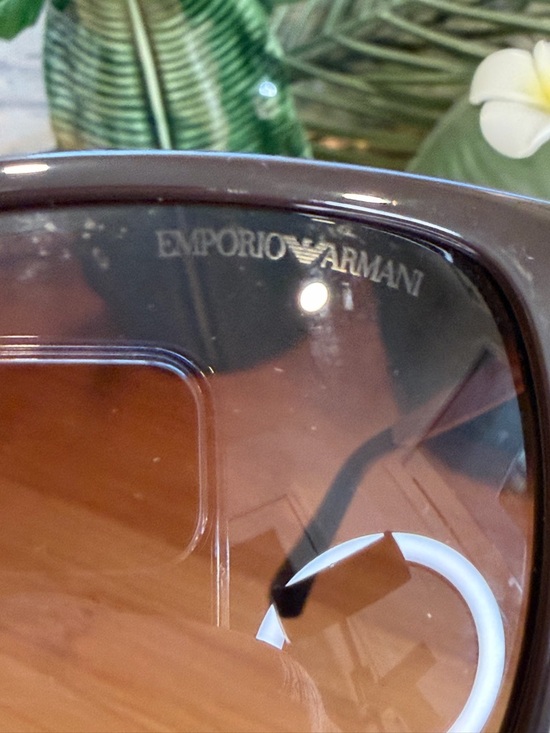 Emporio Armani Brown Frame Brown Lens Women’s Sunglasses main image 10